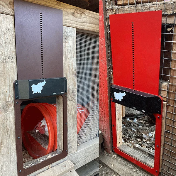 Automatische Kippenhok Deur