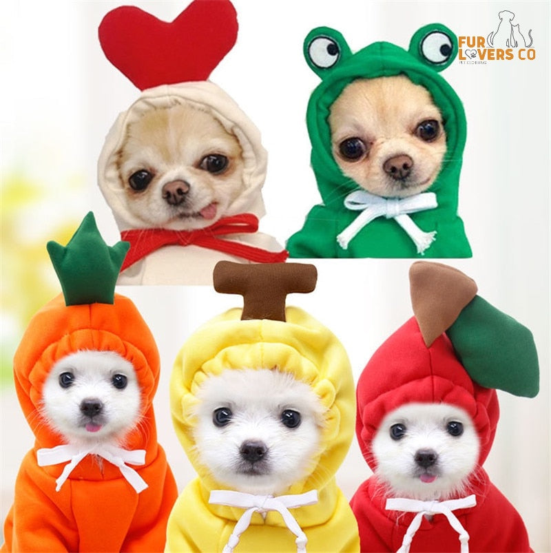 Sudaderas con capucha esponjosas™ | ¡También es adecuado para muchos tipos de mascotas!
