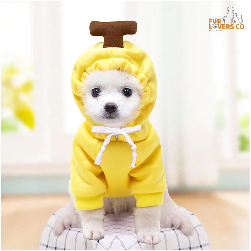 Sudaderas con capucha esponjosas™ | ¡También es adecuado para muchos tipos de mascotas!