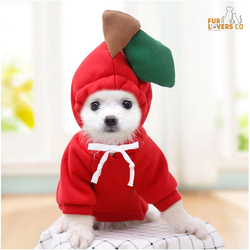 Sudaderas con capucha esponjosas™ | ¡También es adecuado para muchos tipos de mascotas!