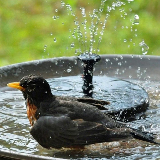 Waterfontein op Zonne-Energie™ | Werkt ook in de Herfst & Winter