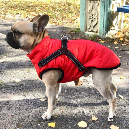Abrigo aislante Rosela Puppy Puffer - para perros de todos los tamaños